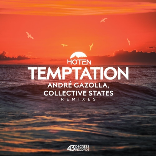 Hoten - Temptation Remixes [43D066]